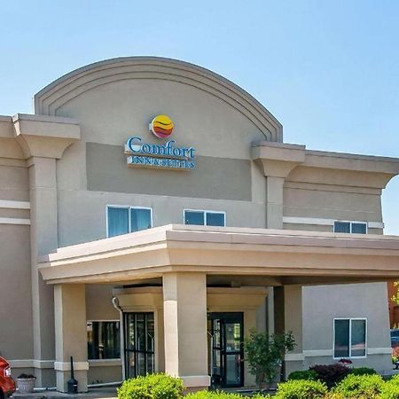 Quality Inn & Suites Ann Arbor Hwy 23 Bagian luar foto